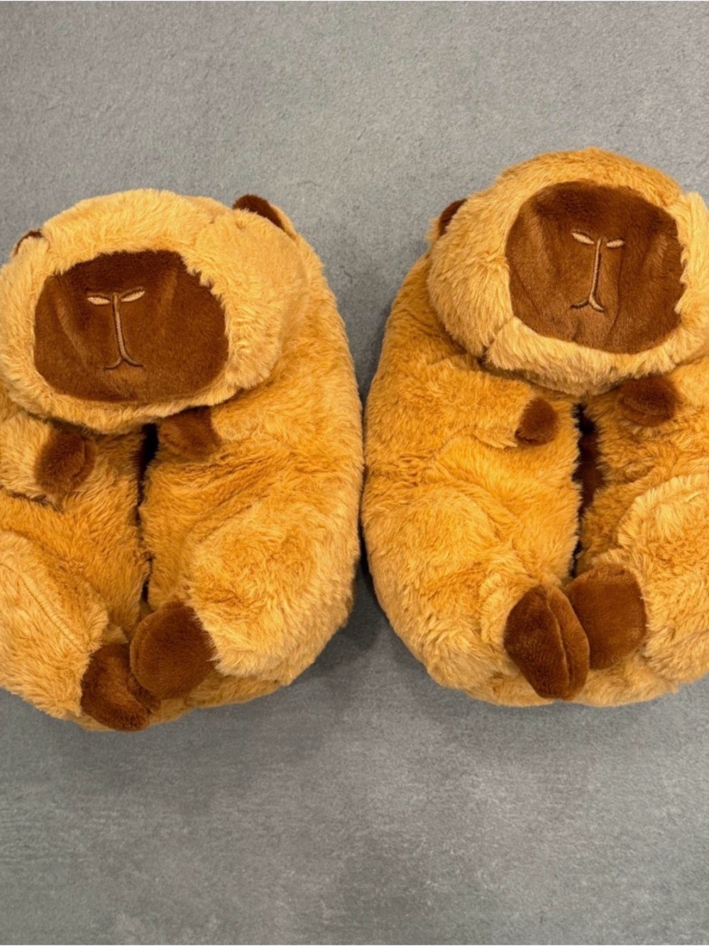 Capybara Plush Slippers